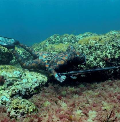 Freediver Shop  Elios Hyperstretch Green Camouflage Wetsuit