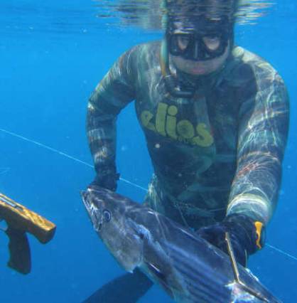 Mesh Skin Benthos Underwater