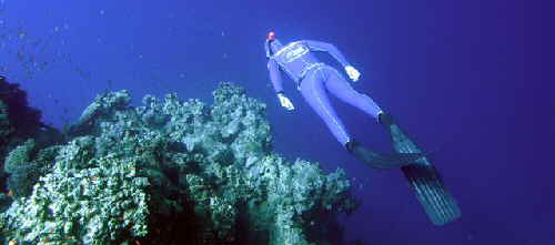 snorkeling wetsuits