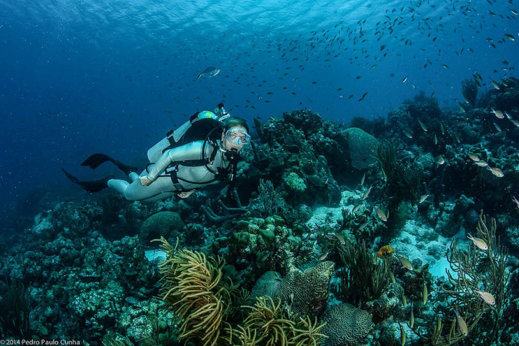 Scuba diving Wetsuit Elios Sub